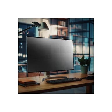 STARTECH.COM 24IN. MONITOR PRIVACY SCREEN