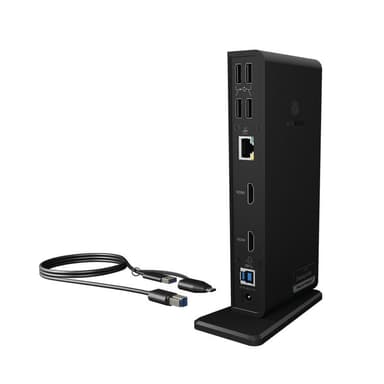 RAIDSONIC Multi-DockingStation IcyBox  für Notebooks und PCs