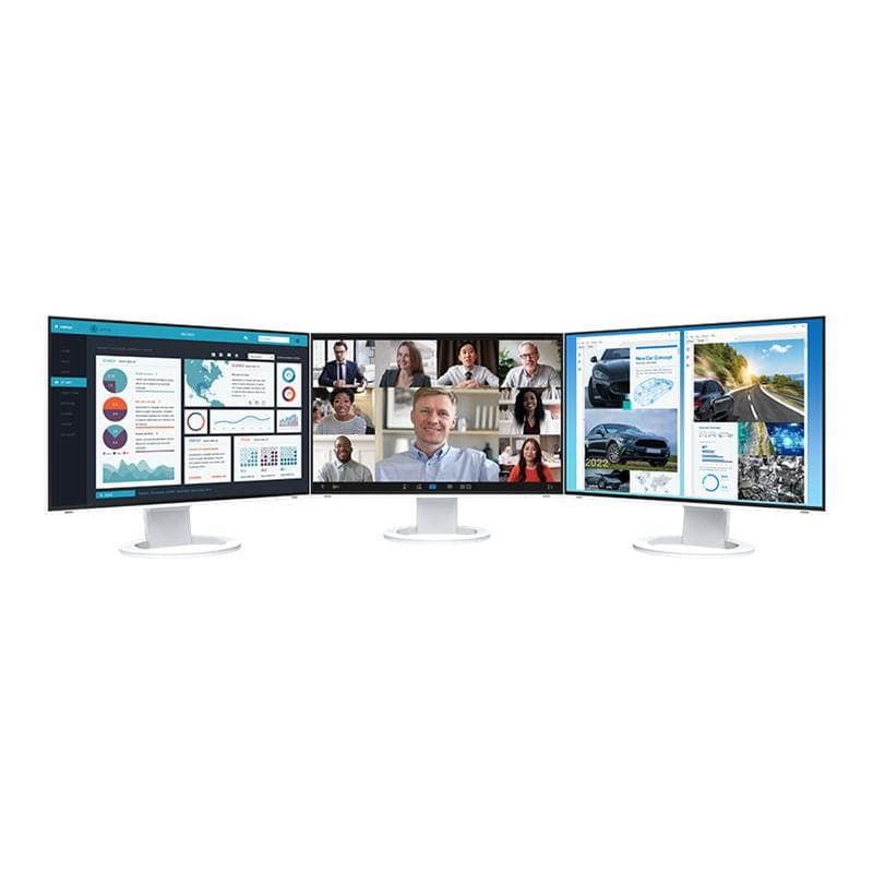 EIZO EV2495-WT 61cm (24″)