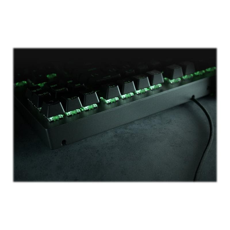 RAZER Blackwidow V3 Tenkeyless green Gaming-Tastatur