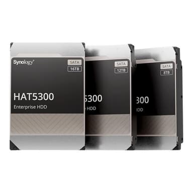 SYNOLOGY HAT5300-8T