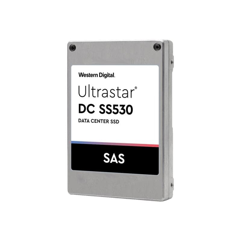WESTERN DIGITAL 1EX2037 3,84TB