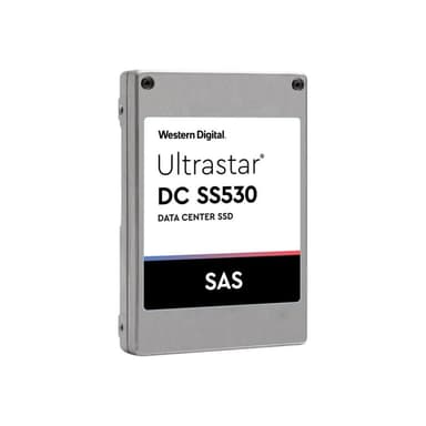 WESTERN DIGITAL 1EX2037 3,84TB