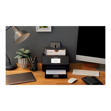 EPSON Scanner WorkForce ES-580W (P)