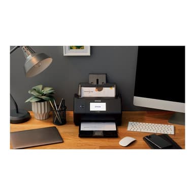EPSON Scanner WorkForce ES-580W (P)