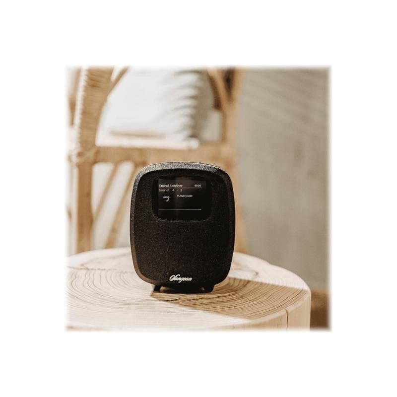 SANGEAN DCR-83 Tischradio DAB+, UKW AUX, Bluetooth®, DAB+, UKW, USB Akku-L