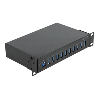 DELOCK 10? Industrie Hub 10 x USB 3.2 Gen 1 Typ-A