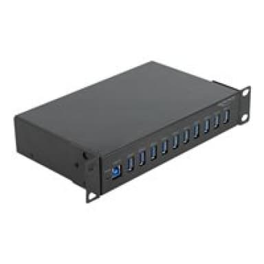 DELOCK 10? Industrie Hub 10 x USB 3.2 Gen 1 Typ-A