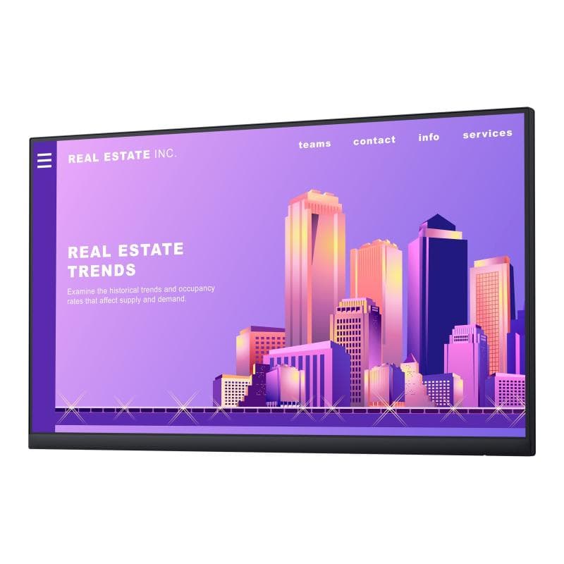 DELL P2422H 61cm (24″) Ohne Standfuß