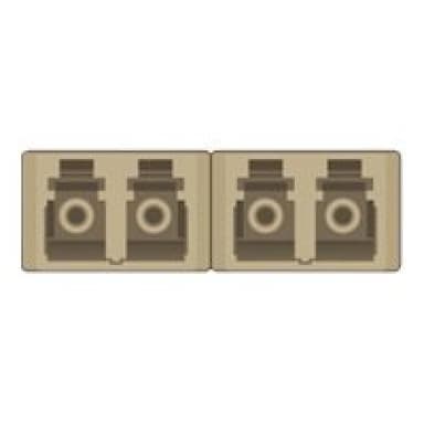 DELOCK 10? LWL Patchpanel 12 Port LC Quad beige 1 HE grau