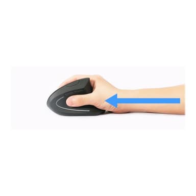 EQUIP Ergonomic Maus wireless Links und Rechtshänder schwarz