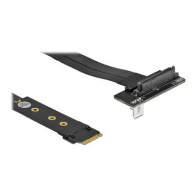 DELOCK M.2 Key M>U.2 SFF-8639 NVMe gew. | +20cm Kabel