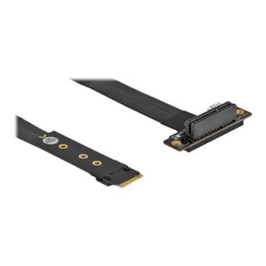DELOCK M.2 Key M>PCIe x4 NVMe gew. | +20cm Kabel