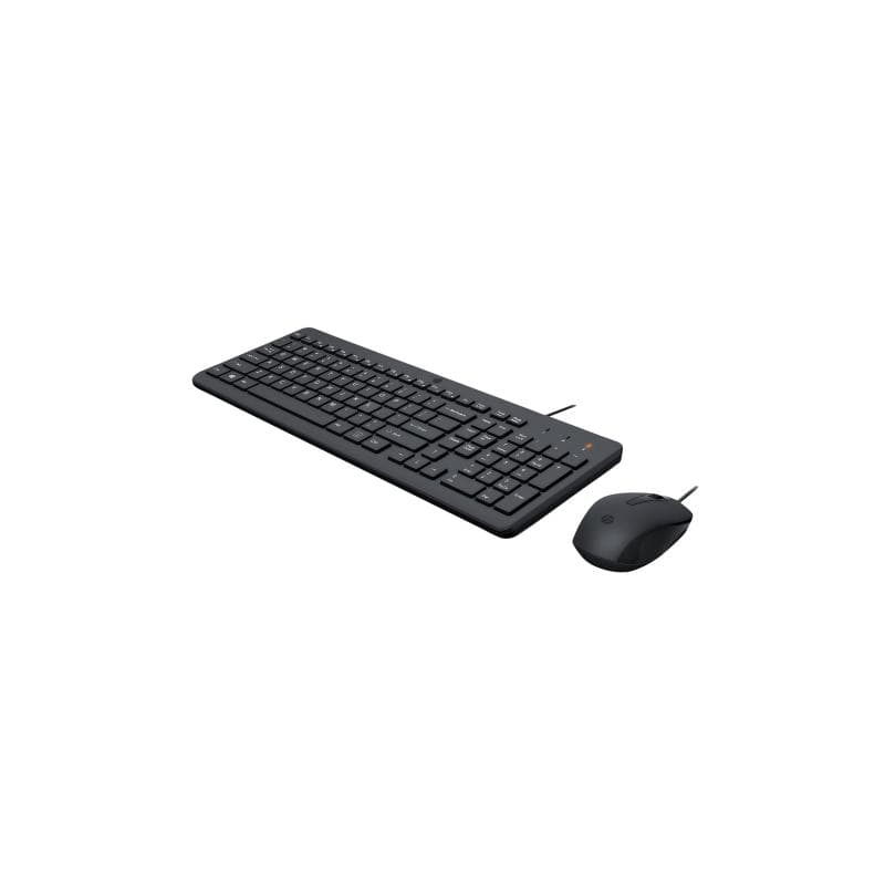 HP 100 WIRED MOUSE AND KEYBOARD