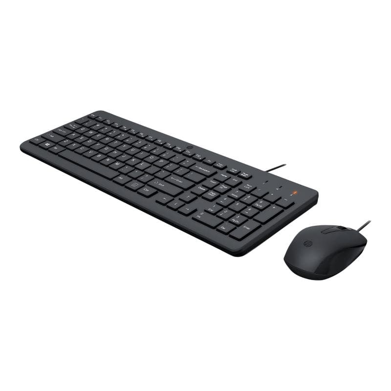 HP 100 WIRED MOUSE AND KEYBOARD