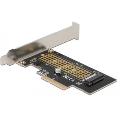 DELOCK PCIe x4>1x int. M.2 NVMe-LP | 80mm