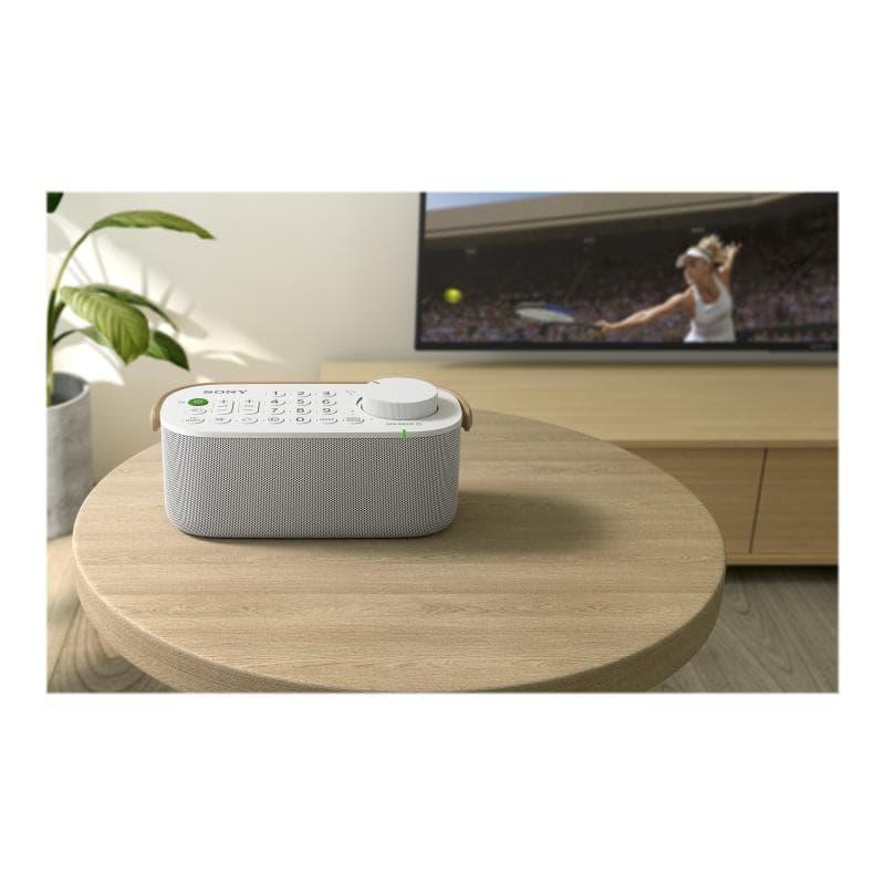 SONY SRS-LSR200 - Lautsprecher - für TV - kabellos