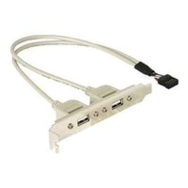 DELOCK Slotblech intern USB 5pin zu 2x USB2.0 extern