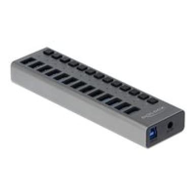 DELOCK Ext. SS USB Hub 13Ports +Schalter