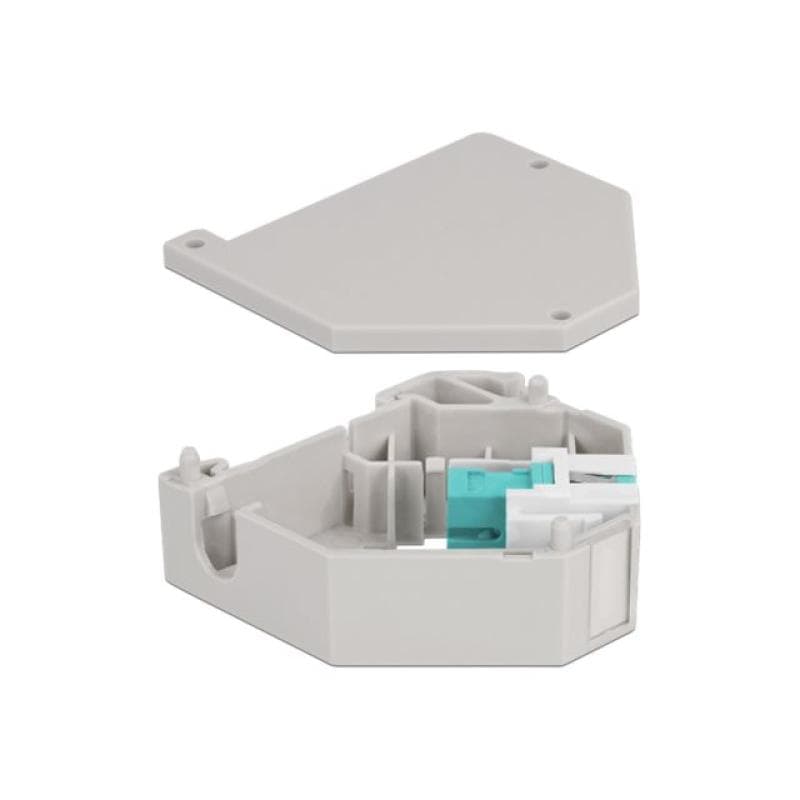 DELOCK Hutschienenadapter mit Keystone SC Simplex Buchse zu Buchse aqua