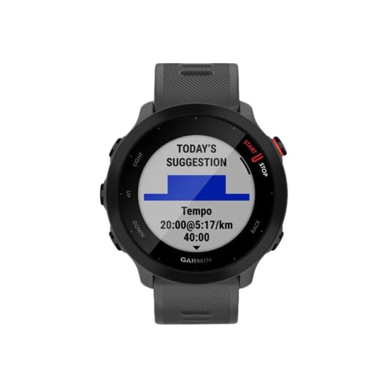 GARMIN 010-02562-13 Smartwatch 42 mm MIP Grau GPS (010-02562-13)