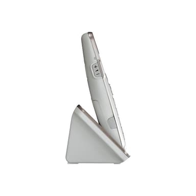 PANASONIC KX-TGE260GN DECT/GAP Schnurloses Telefon analog Anrufbeantworter, Babyphone, Freispre