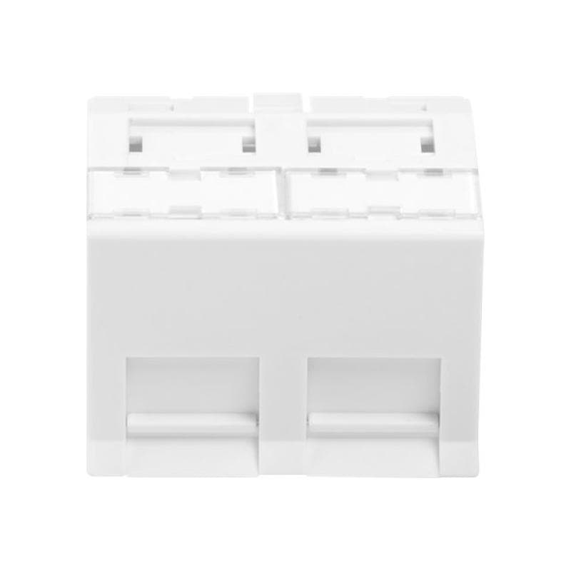 DIGITUS FRONT PANEL 2-PORT 45 X 45 MM