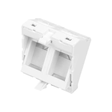 DIGITUS FRONT PANEL 2-PORT 45 X 45 MM