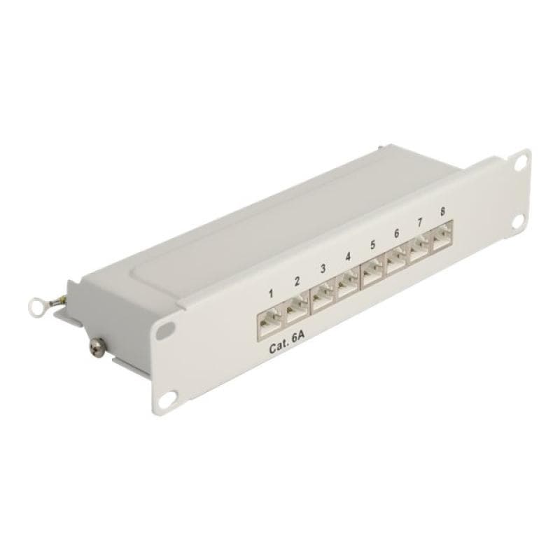 DELOCK 10? Patchpanel 8 Port Cat.6A 1 HE grau