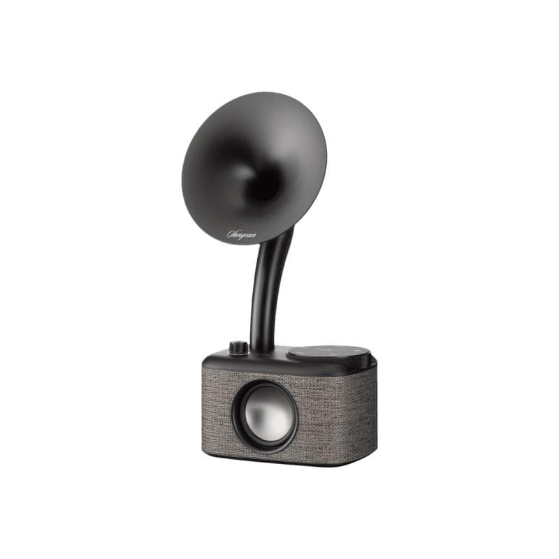 SANGEAN CP-100D Gramophone Tischradio DAB+, UKW AUX, Bluetooth®, DAB+, UKW, USB Touchscreen, wiedera