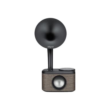 SANGEAN CP-100D Gramophone Tischradio DAB+, UKW AUX, Bluetooth®, DAB+, UKW, USB Touchscreen, wiedera