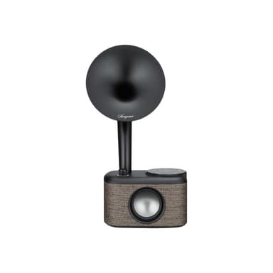 SANGEAN CP-100D Gramophone Tischradio DAB+, UKW AUX, Bluetooth®, DAB+, UKW, USB Touchscreen, wiedera