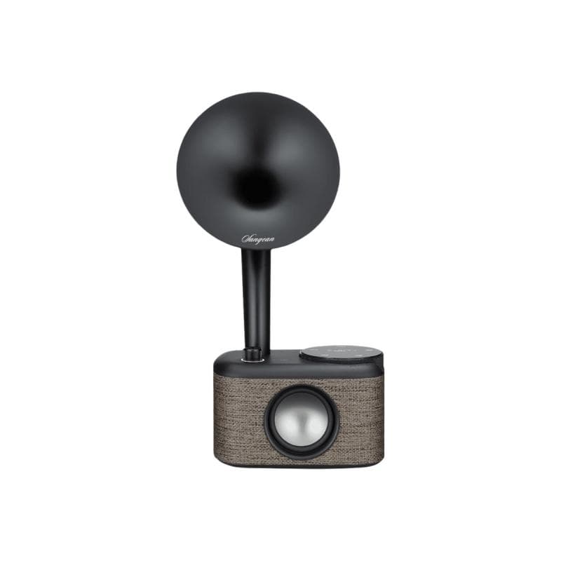 SANGEAN CP-100D Gramophone Tischradio DAB+, UKW AUX, Bluetooth®, DAB+, UKW, USB Touchscreen, wiedera