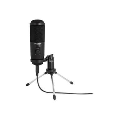 DELOCK USB Kondensator Mikrofon mit Ständer 24 Bit / 192 kHz für PC und Notebook