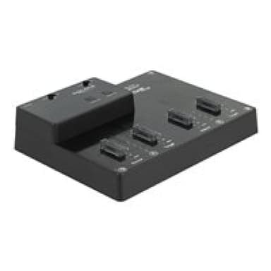 DELOCK M.2 Dockingstation für 4 x M.2 NVMe PCIe SSD mit Klon Funktion