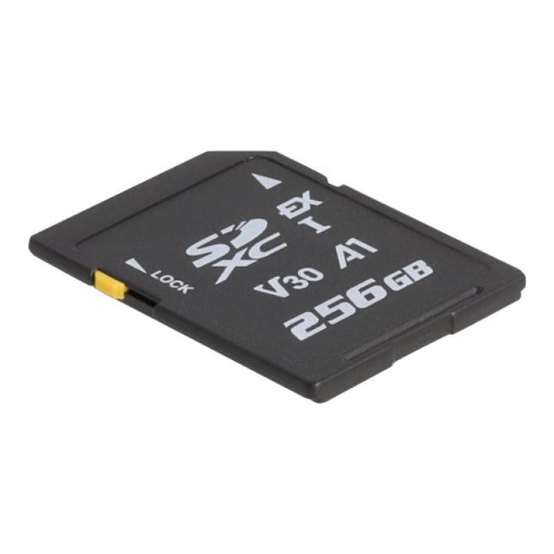 DELOCK 54091 256GB