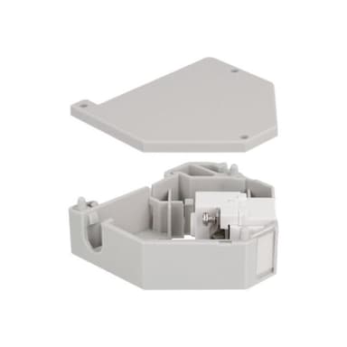 DELOCK Hutschienenadapter mit Keystone IEC Buchse zu Terminalblock