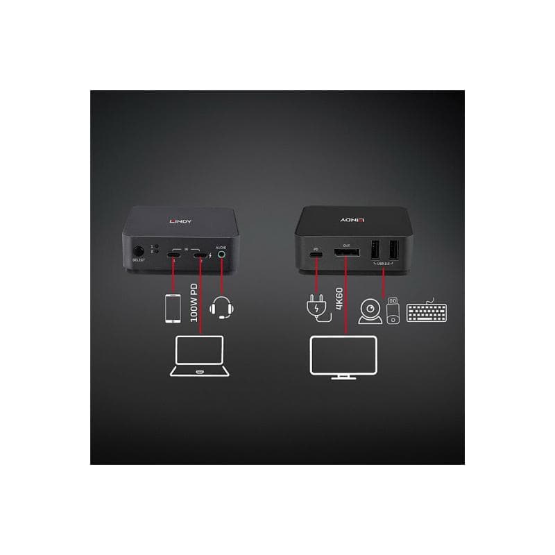 LINDY 2 Port Type C, DisplayPort 1.2 KVM Switch