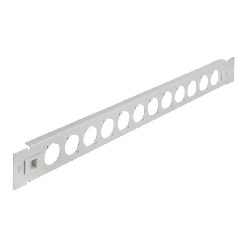 DELOCK 19″ D-Typ Patchpanel 12 Port werkzeugfrei grau