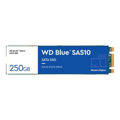 WESTERN DIGITAL WD Blue SA510 250GB