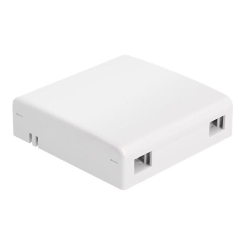 DELOCK LWL Anschlussdose zur Wandmontage für 2 x SC Simplex oder LC Duplex weiß