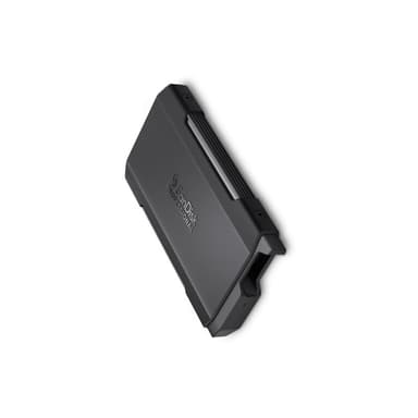 SANDISK Pro Blade M.2 SSD Transport 2TB