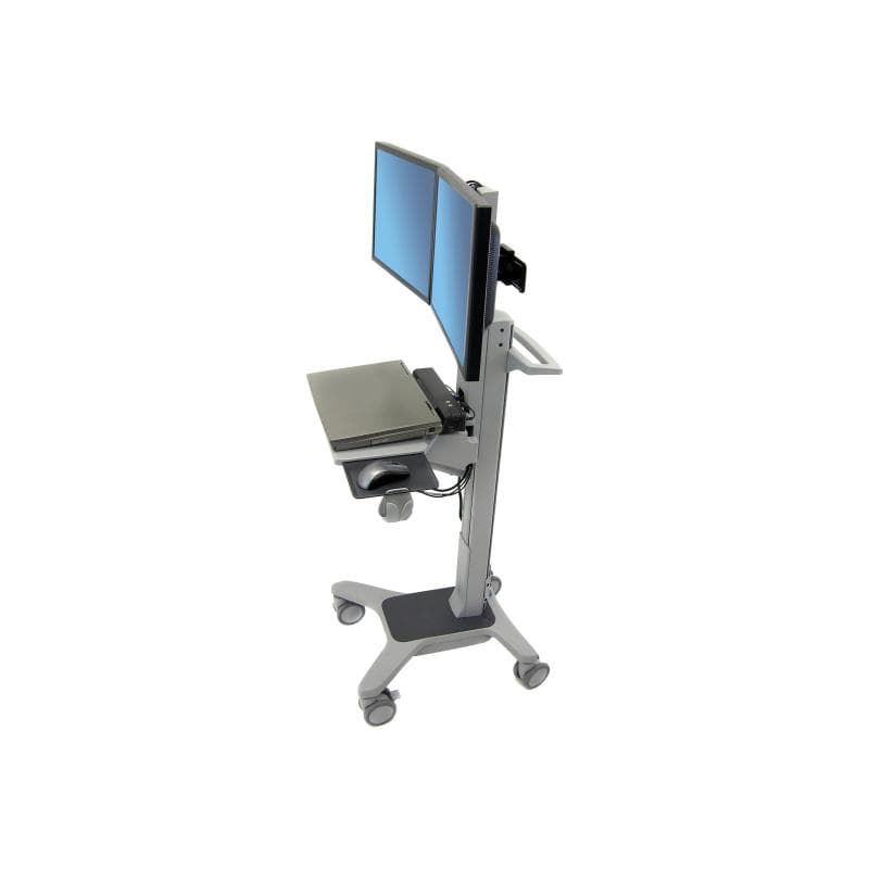 ERGOTRON Neo-Flex Dual WideView WorkSpace
