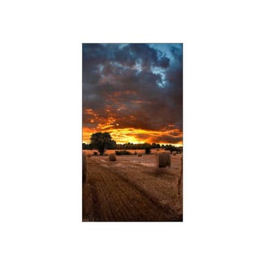 SAMSUNG Smart Signage VM55B-U 138,7cm (55″)