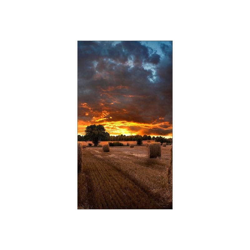 SAMSUNG Smart Signage VM55B-U 138,7cm (55″)