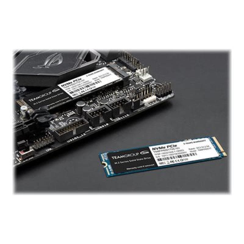 TEAM GROUP TM8FP6001T0C101 1TB