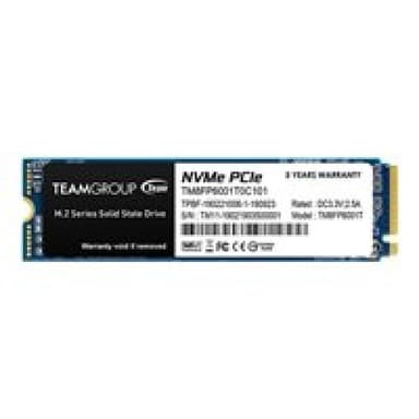 TEAM GROUP TM8FP6001T0C101 1TB