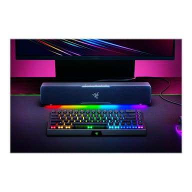 RAZER Leviathan V2 X