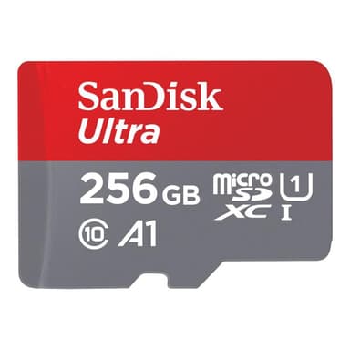 SANDISK Ultra Class 10 256GB