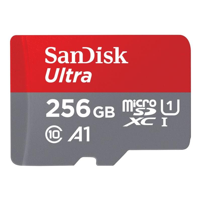 SANDISK Ultra Class 10 256GB